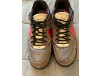 nike zoom air paul rodriguez proprietary